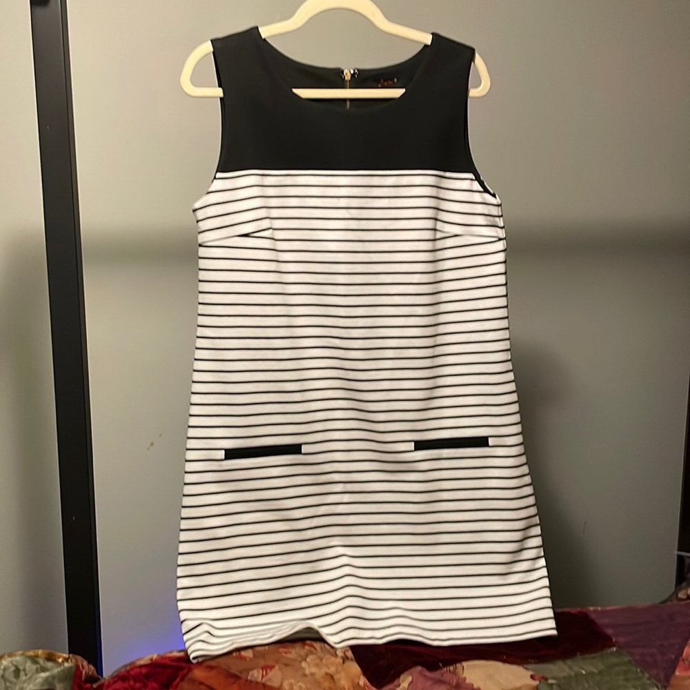 Host Pick! Lg Dex Strutured Black & White Striped Dress w Gold Back Zipper